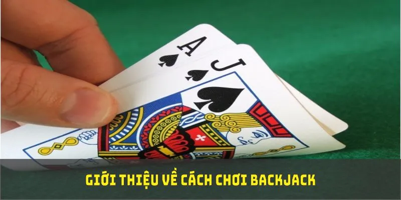 Giới thiệu về cách chơi blackjack phổ biến nhất